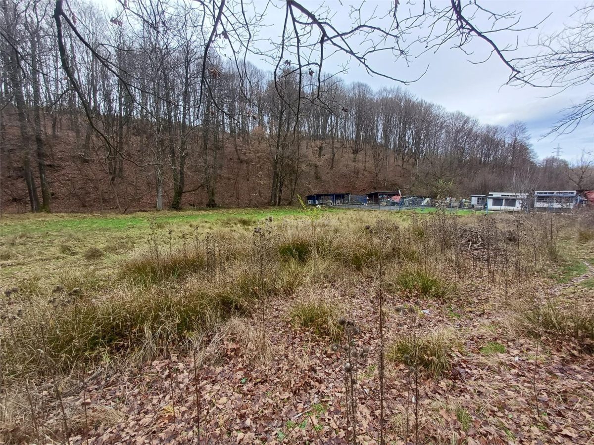 Resita, Teren Drept Intravilan, Langa Prau si Drum, Parcelabil, 4500 Mp., 15 Euro/Mp., Renk - foto 16