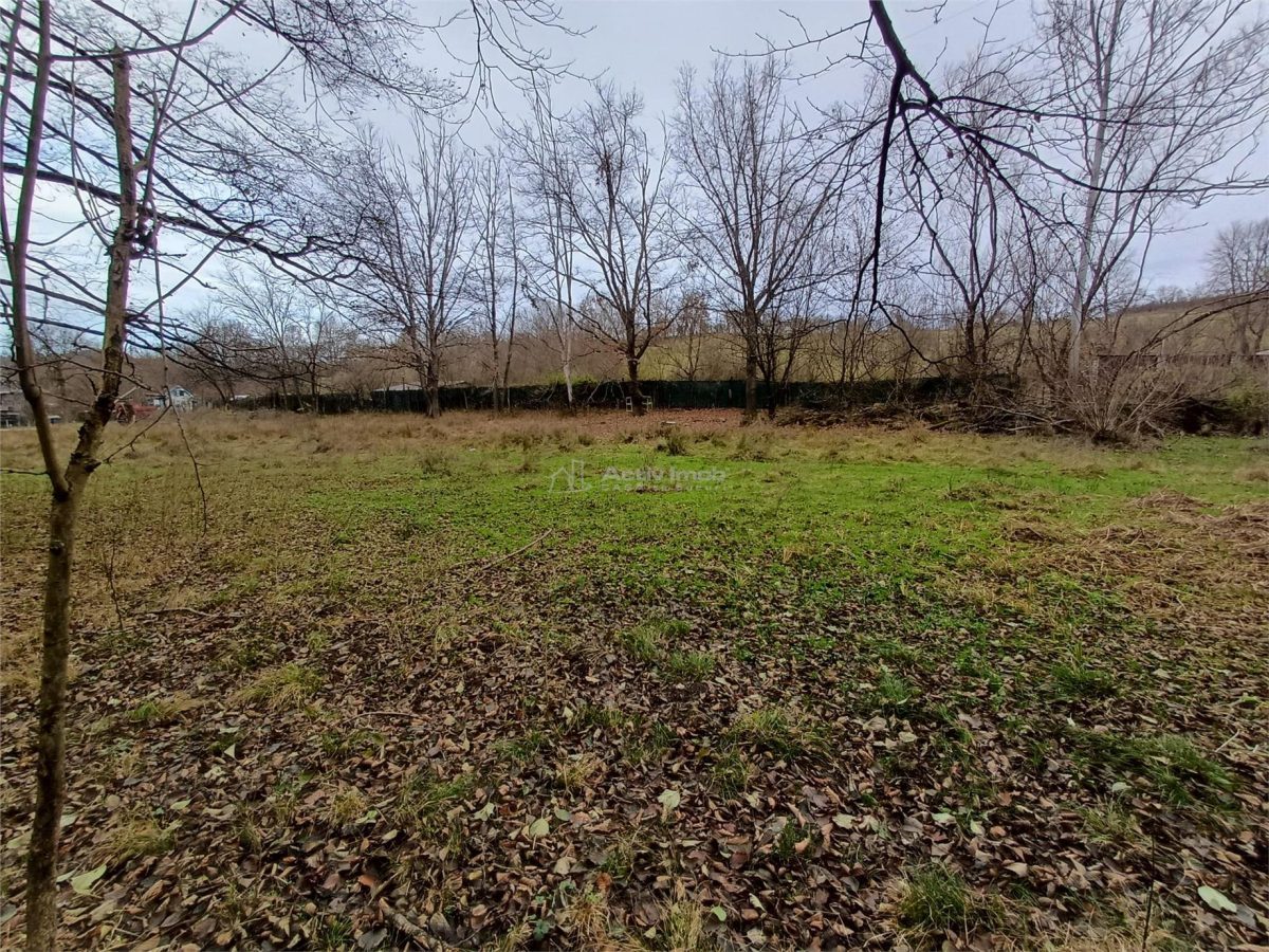 Resita, Teren Drept Intravilan, Langa Prau si Drum, Parcelabil, 4500 Mp., 15 Euro/Mp., Renk - foto 17