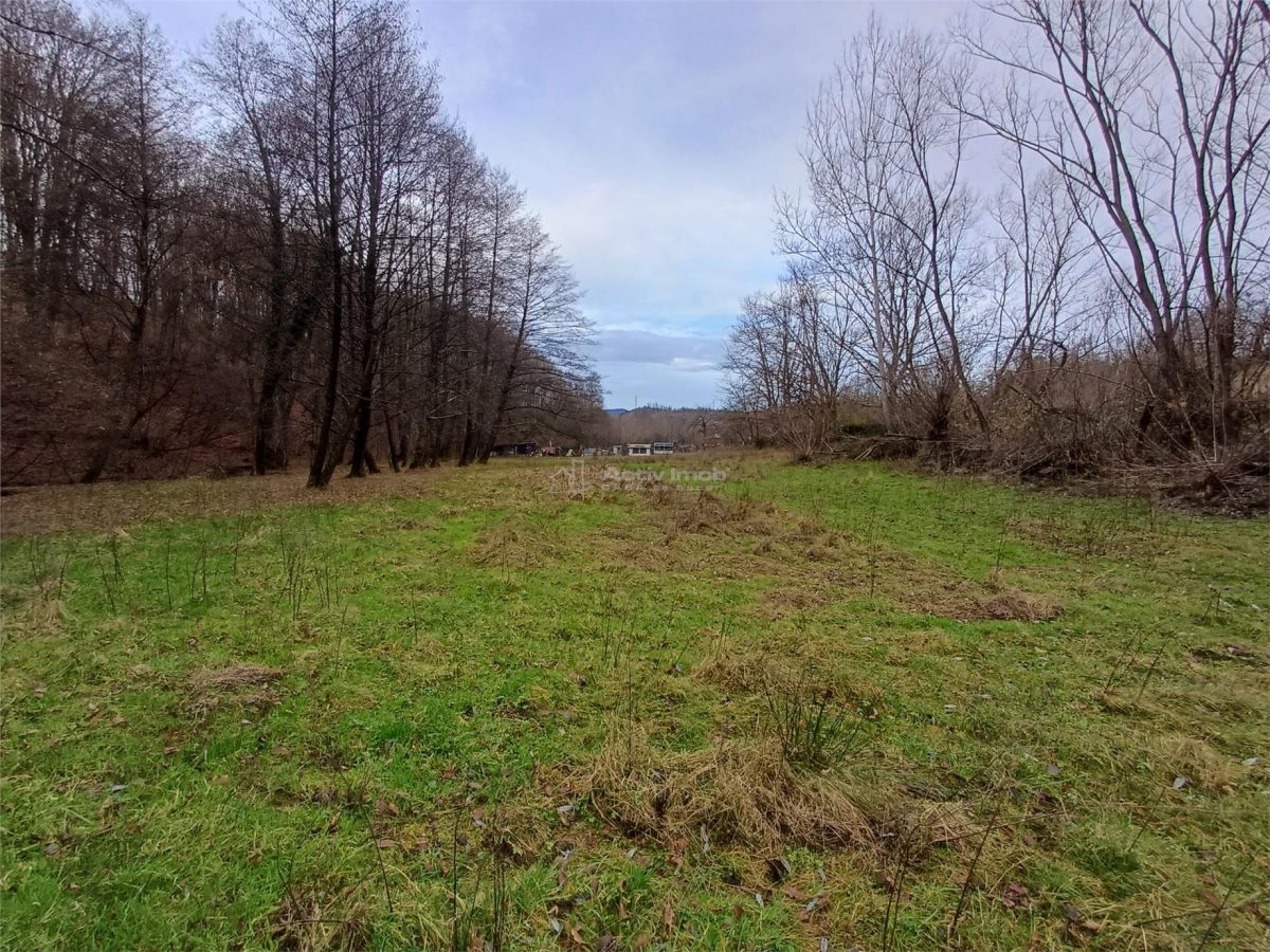 Resita, Teren Drept Intravilan, Langa Prau si Drum, Parcelabil, 4500 Mp., 15 Euro/Mp., Renk - foto 4