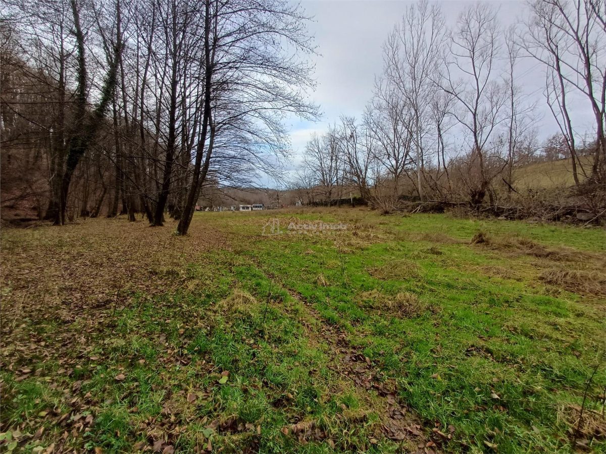 Resita, Teren Drept Intravilan, Langa Prau si Drum, Parcelabil, 4500 Mp., 15 Euro/Mp., Renk - foto 5