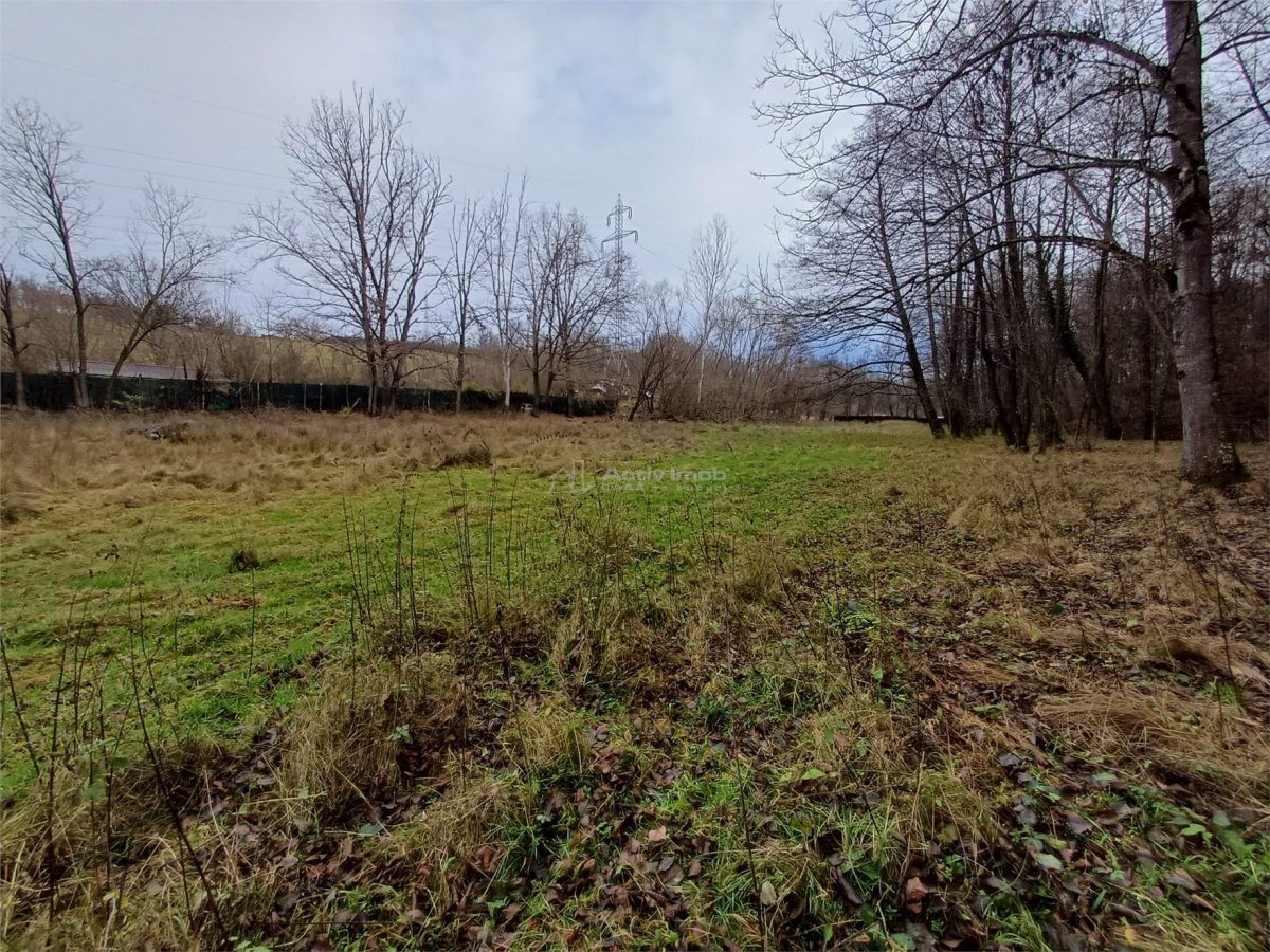 Resita, Teren Drept Intravilan, Langa Prau si Drum, Parcelabil, 4500 Mp., 15 Euro/Mp., Renk - foto 6