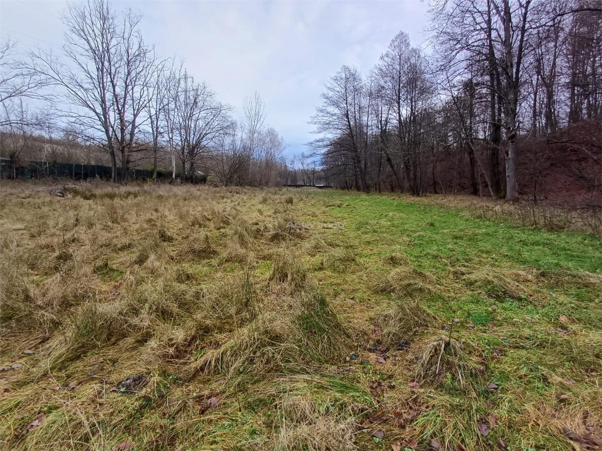 Resita, Teren Drept Intravilan, Langa Prau si Drum, Parcelabil, 4500 Mp., 15 Euro/Mp., Renk - foto 7