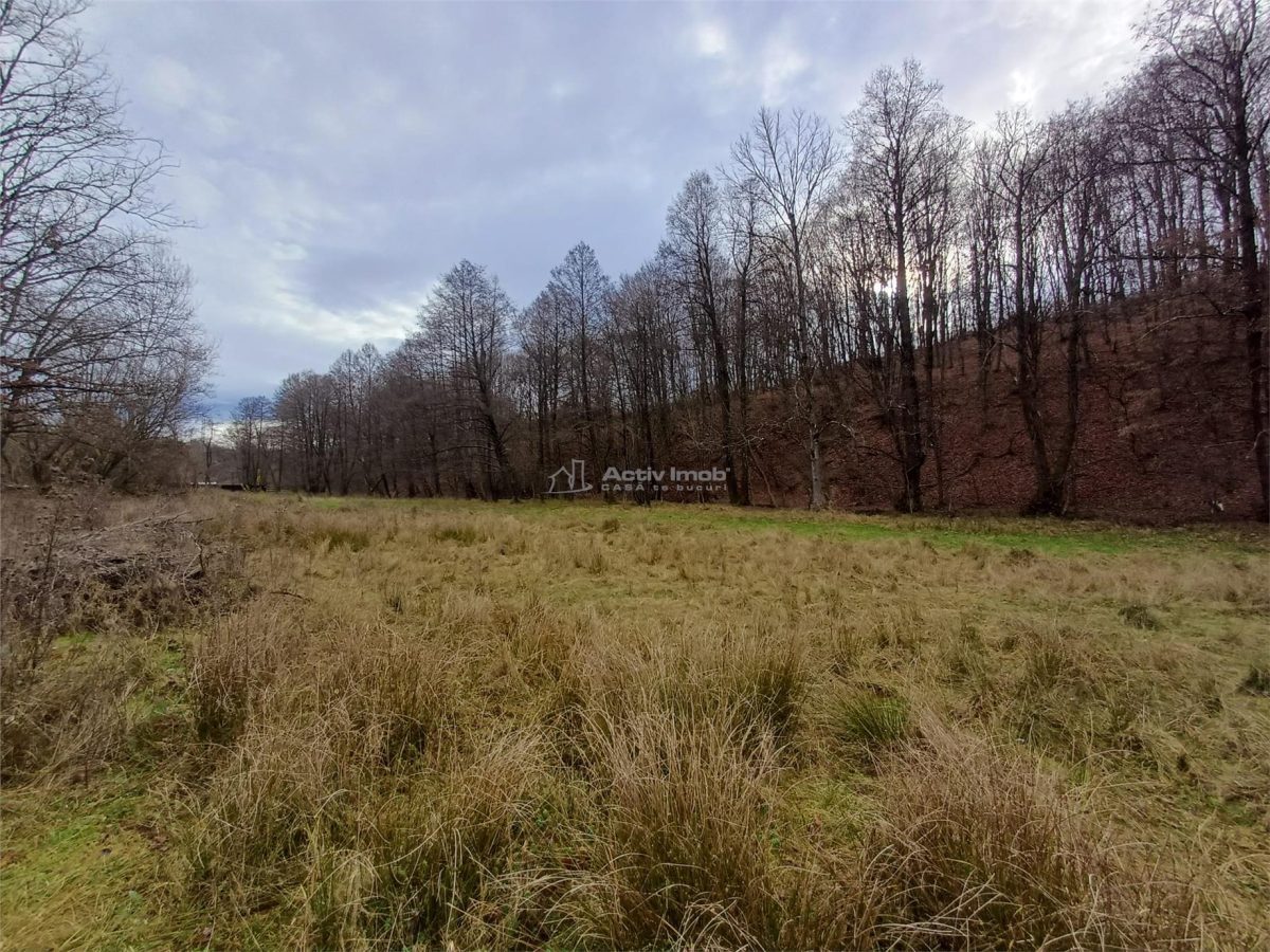 Resita, Teren Drept Intravilan, Langa Prau si Drum, Parcelabil, 4500 Mp., 15 Euro/Mp., Renk - foto 9