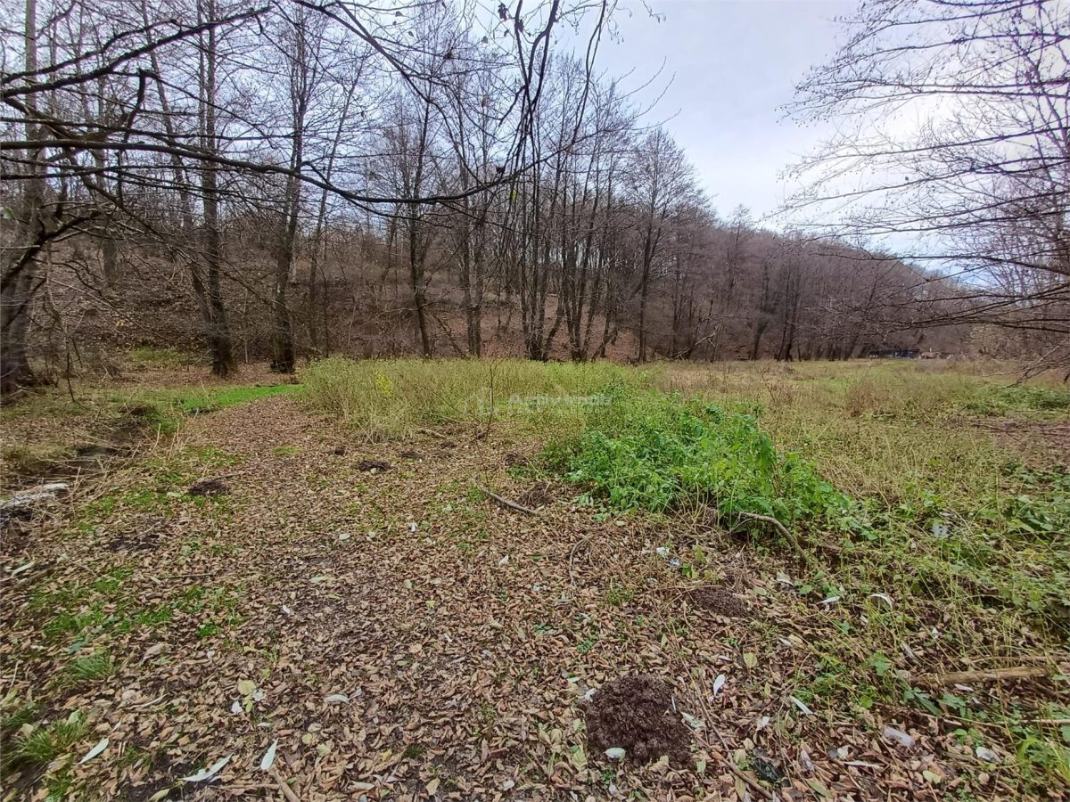 Resita, Teren Drept Intravilan, Langa Prau si Drum, 1308 Mp., 15 Euro/Mp., Renk - foto 12