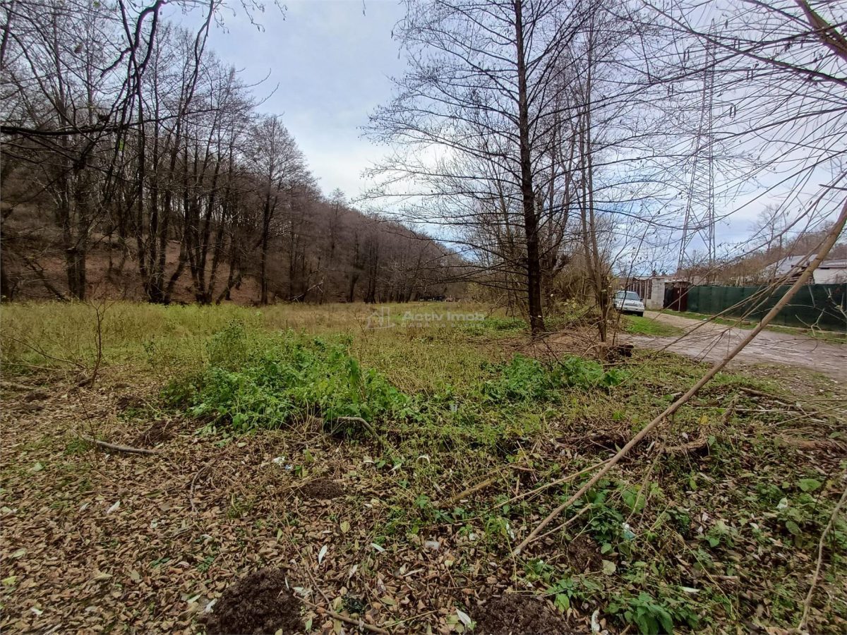 Resita, Teren Drept Intravilan, Langa Prau si Drum, 1308 Mp., 15 Euro/Mp., Renk - foto 13