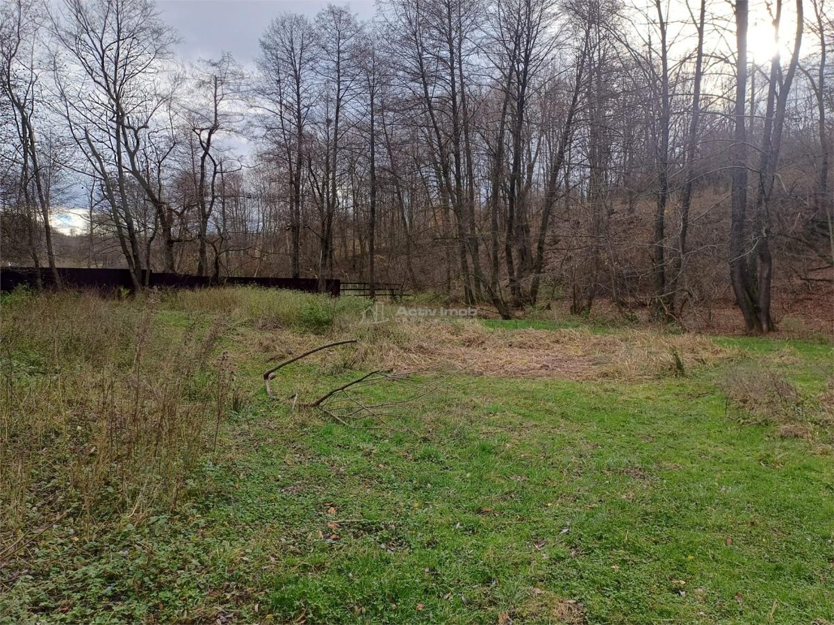 Resita, Teren Drept Intravilan, Langa Prau si Drum, 1308 Mp., 15 Euro/Mp., Renk - foto 6