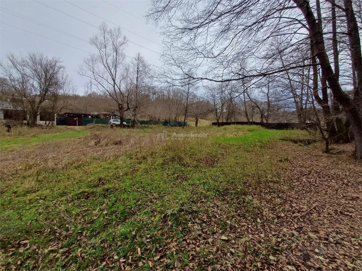 Resita, Teren Drept Intravilan, Langa Prau si Drum, 1308 Mp., 15 Euro/Mp., Renk - foto 9