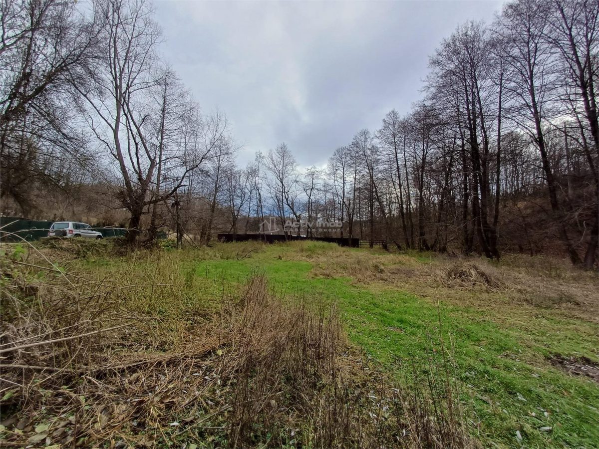 Resita, Teren Drept Intravilan, Langa Prau si Drum, 1308 Mp., 15 Euro/Mp., Renk - foto 10