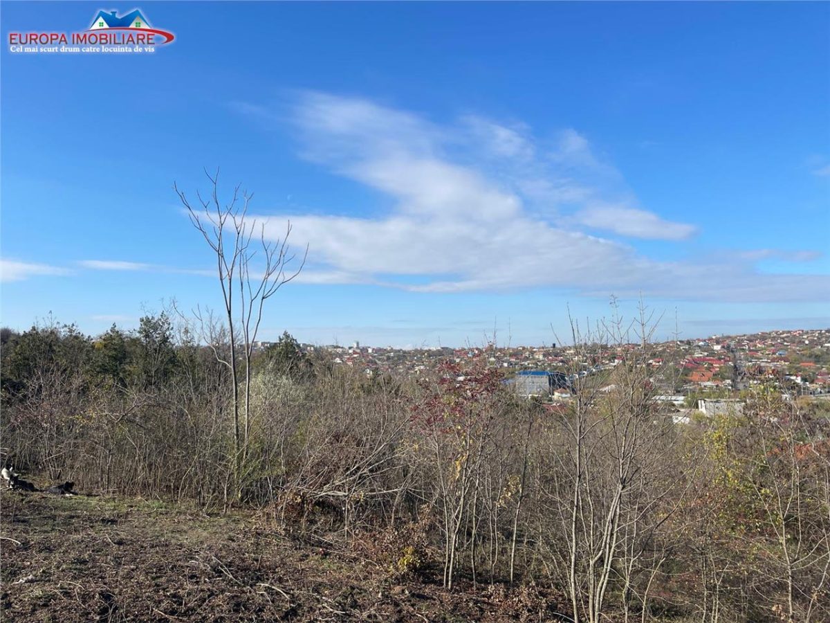 Teren de vanzare zona Bididia Tulcea - foto 3