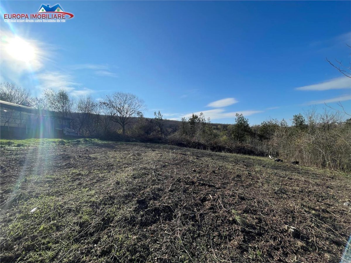 Teren de vanzare zona Bididia Tulcea - foto 9