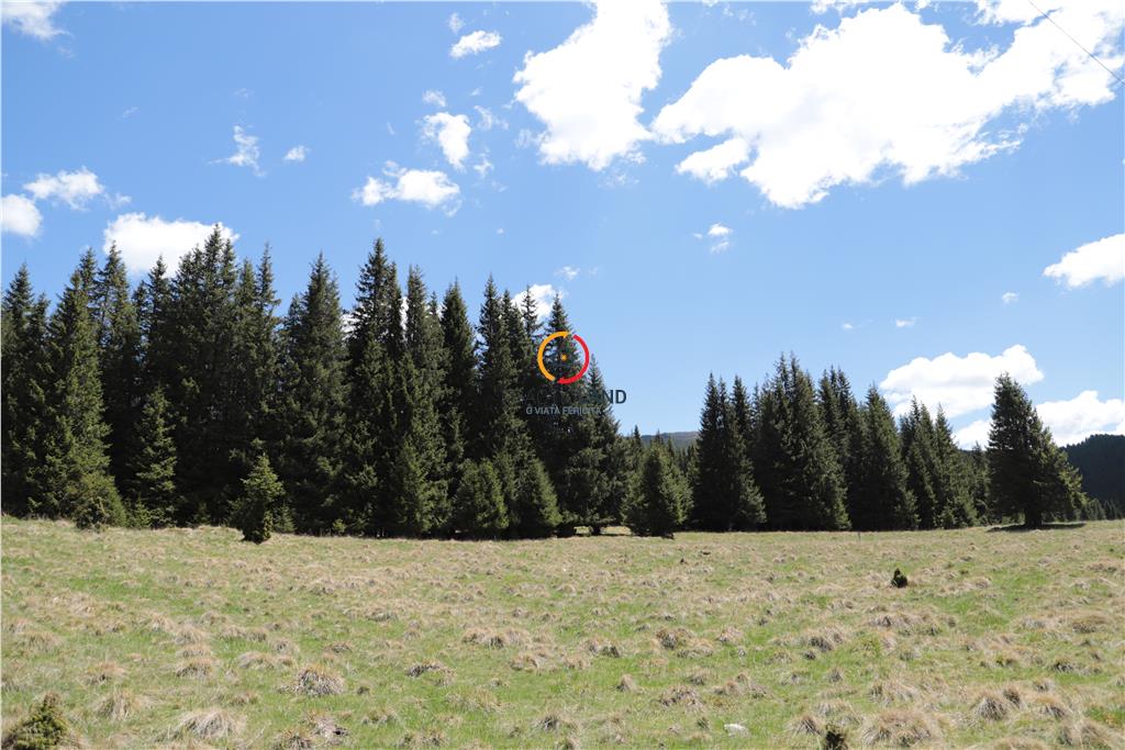 terenuri speciale Padina Busteni - foto 12