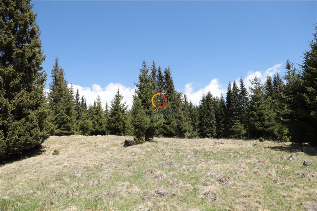 terenuri speciale Padina Busteni - foto 13