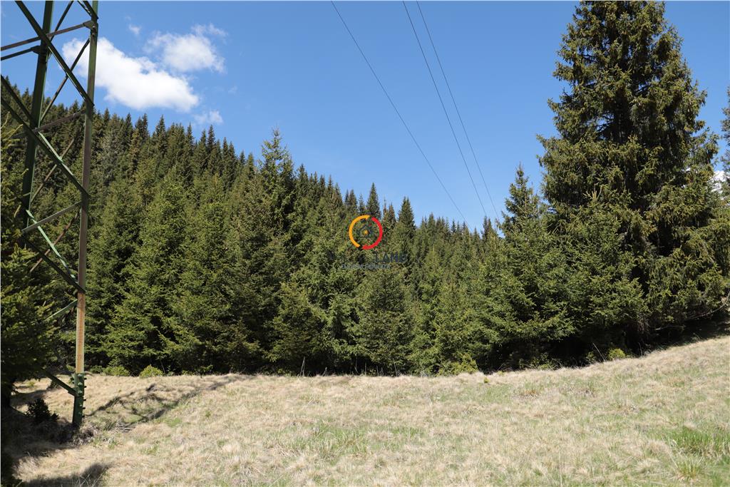 terenuri speciale Padina Busteni - foto 14