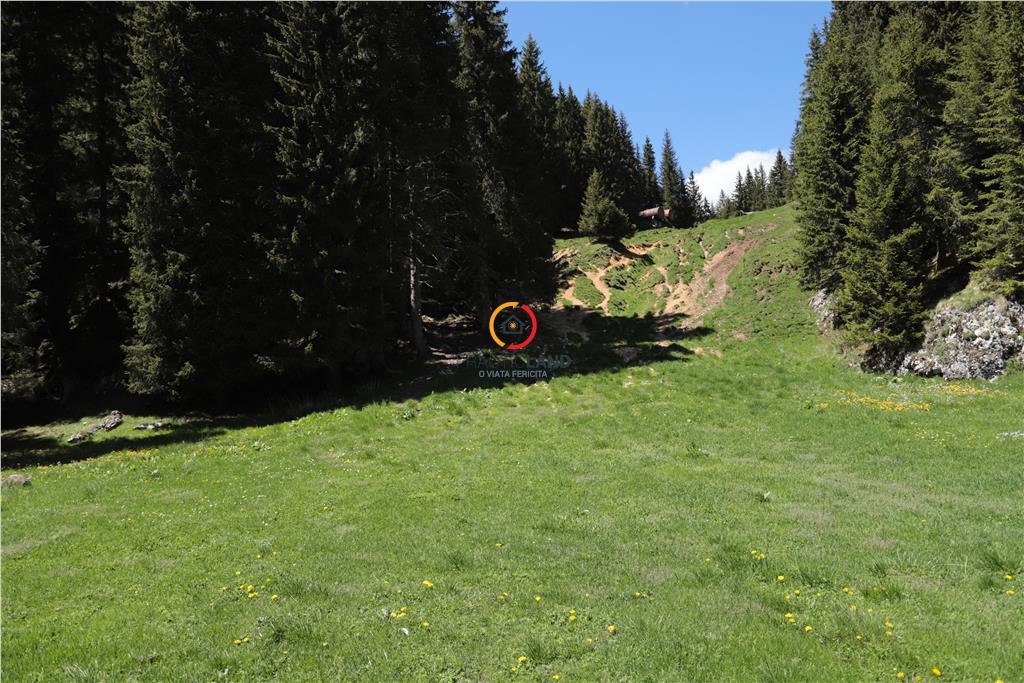 terenuri speciale Padina Busteni - foto 15