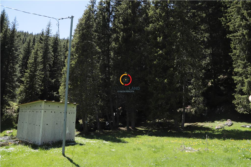 terenuri speciale Padina Busteni - foto 16