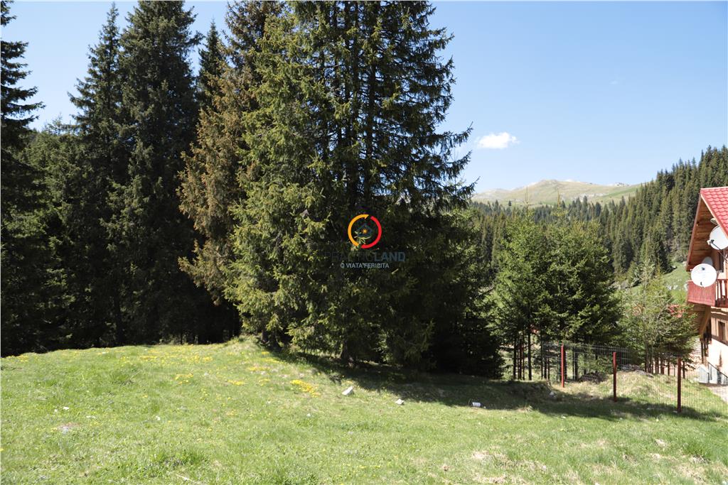 terenuri speciale Padina Busteni - foto 17