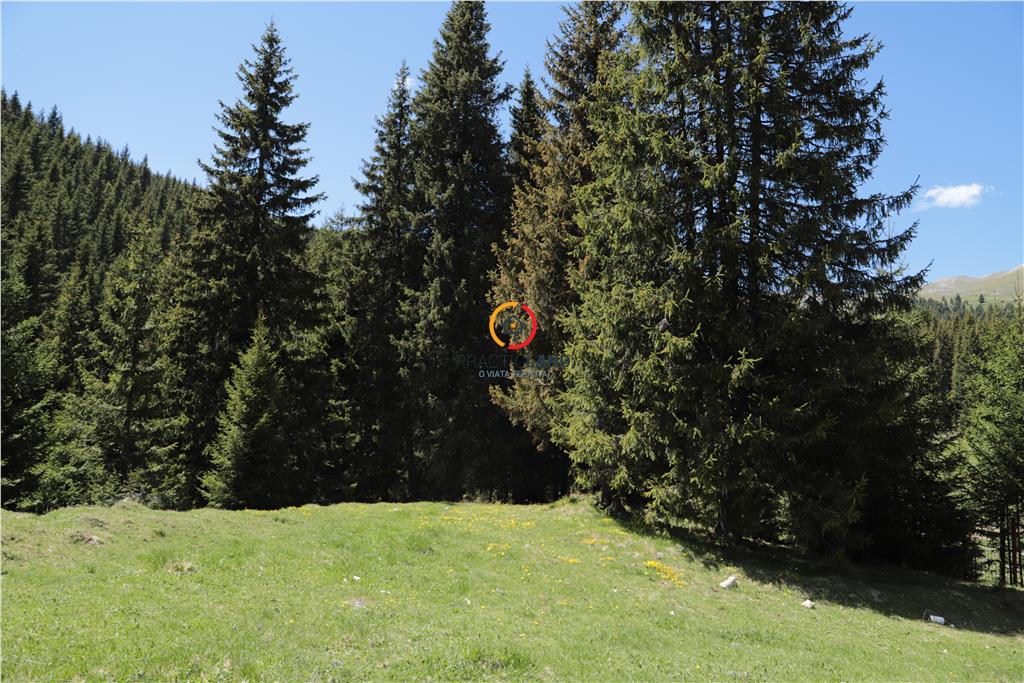 terenuri speciale Padina Busteni - foto 18