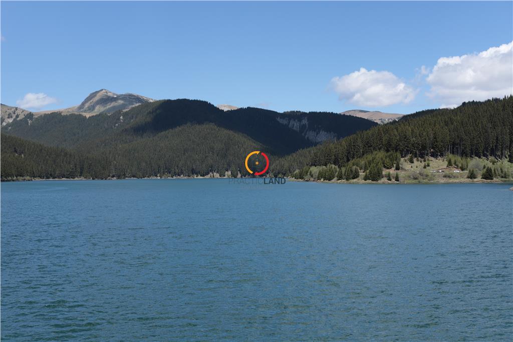 terenuri speciale Padina Busteni - foto 3