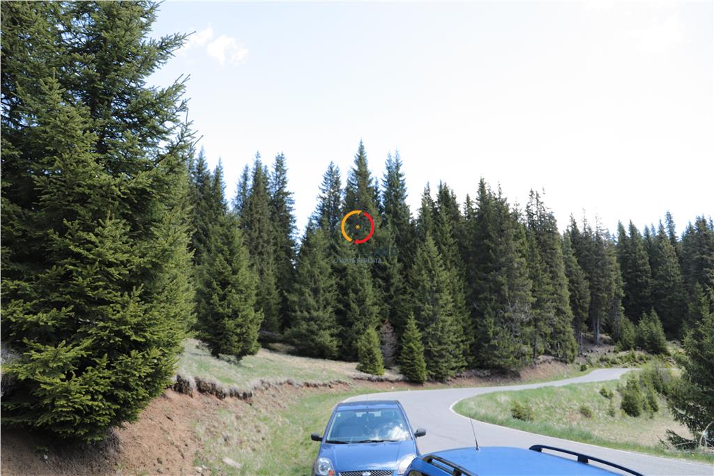 terenuri speciale Padina Busteni - foto 5