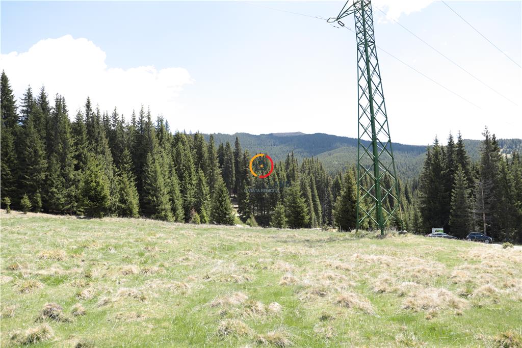 terenuri speciale Padina Busteni - foto 7