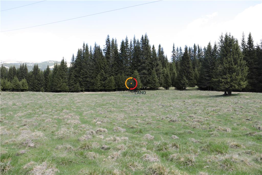 terenuri speciale Padina Busteni - foto 8