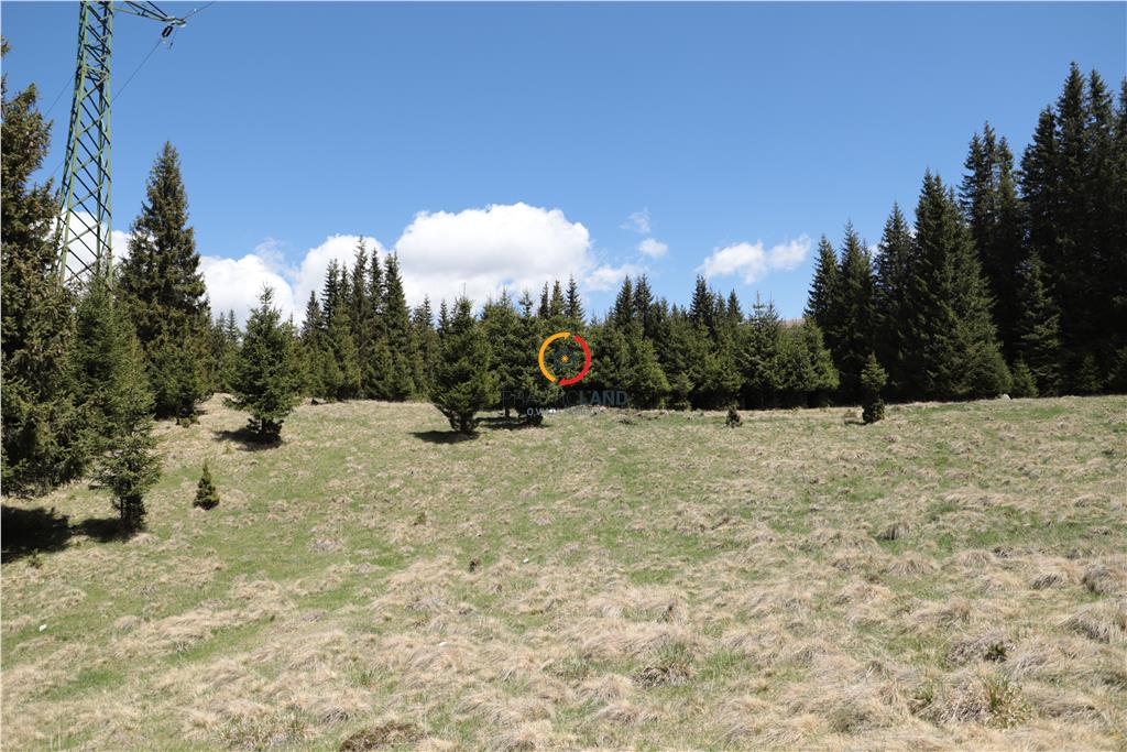 terenuri speciale Padina Busteni - foto 9