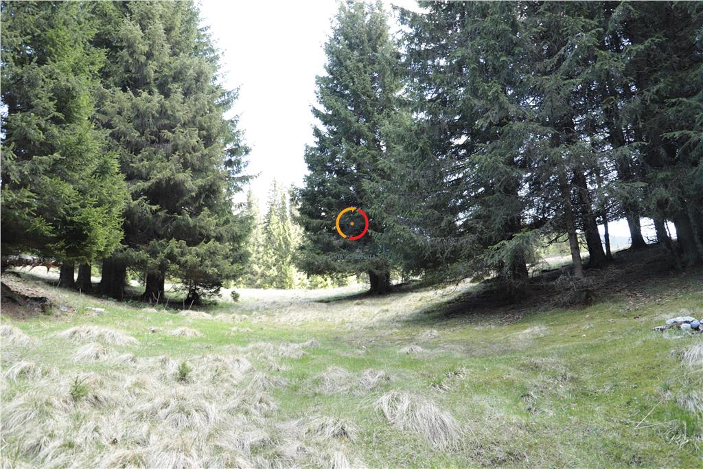 terenuri speciale Padina Busteni - foto 10