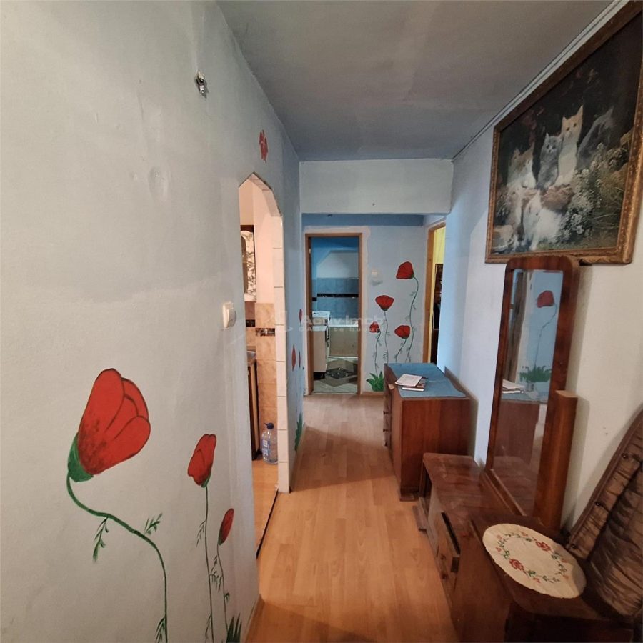 Bocsa, apt.2 cam,cf1.decom.MFA - foto 14