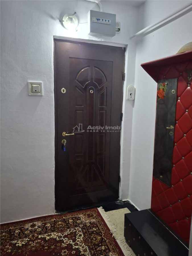 RESITA CHIRIE, APT 2 CAM, PARTER ZONA GOVANDAR - foto 11