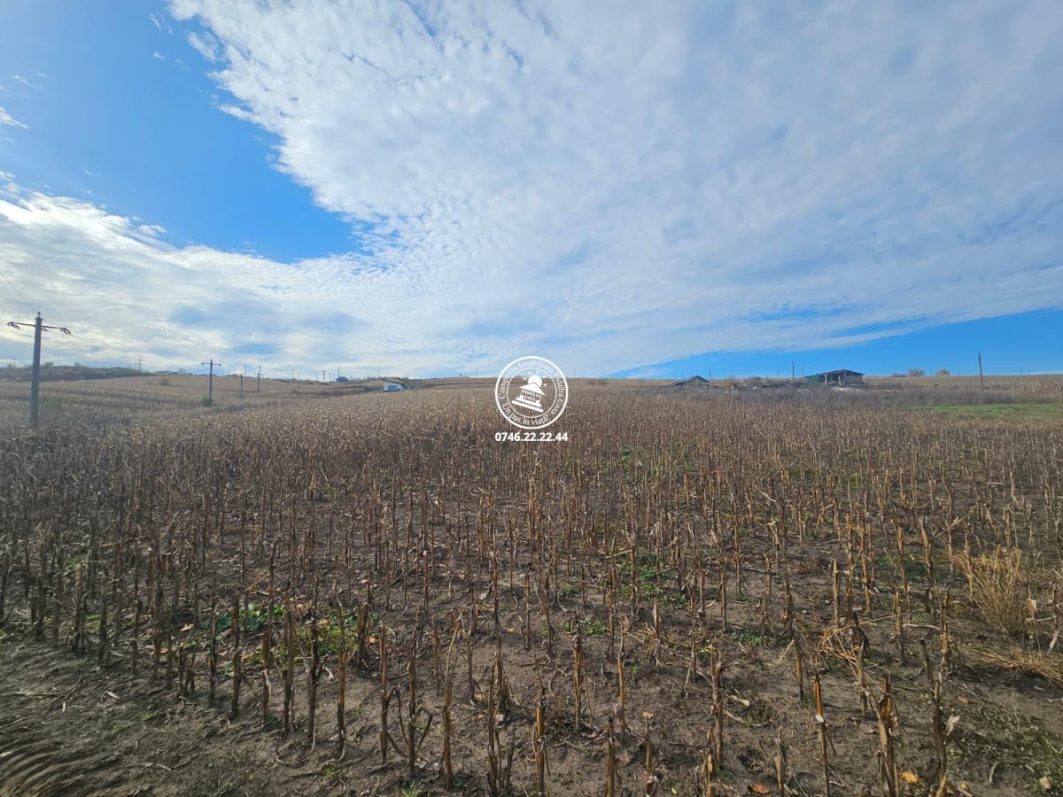 Teren de Vanzare Valea Lupului - foto 2