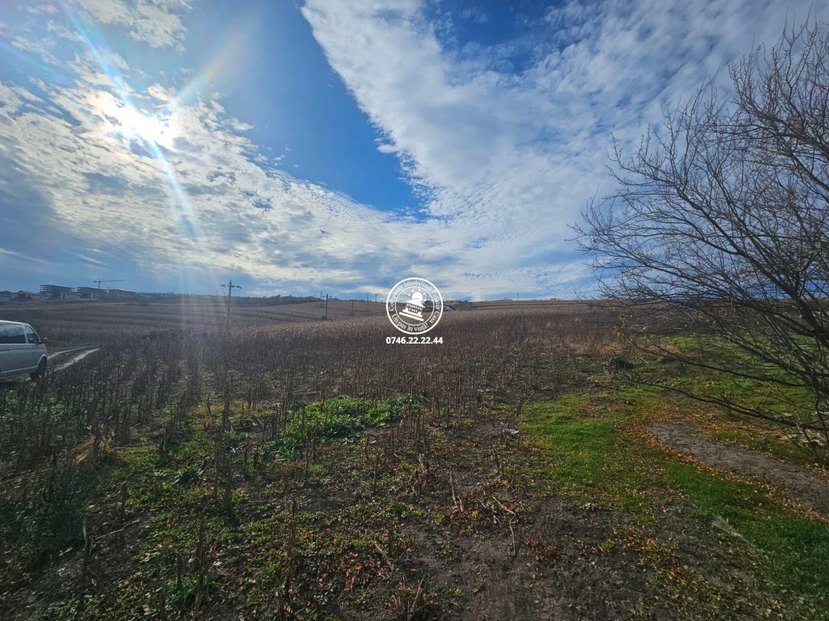 Teren de Vanzare Valea Lupului - foto 3