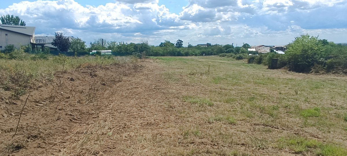 Terenuri cu suprafete intre 500 si 1500 mp in Baicoi, zona Liliesti. - foto 14