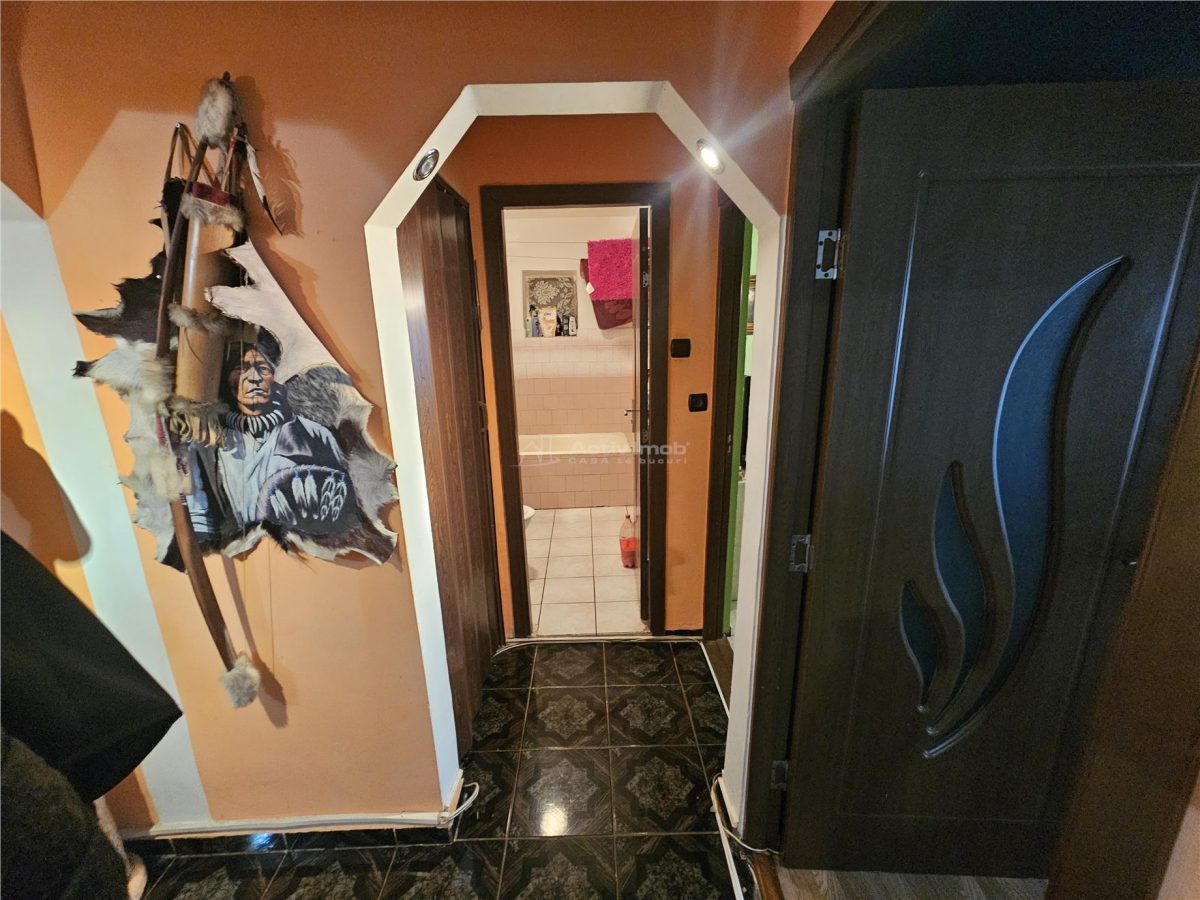 Resita, 3 Cam. Dec., Micro 4 - foto 11