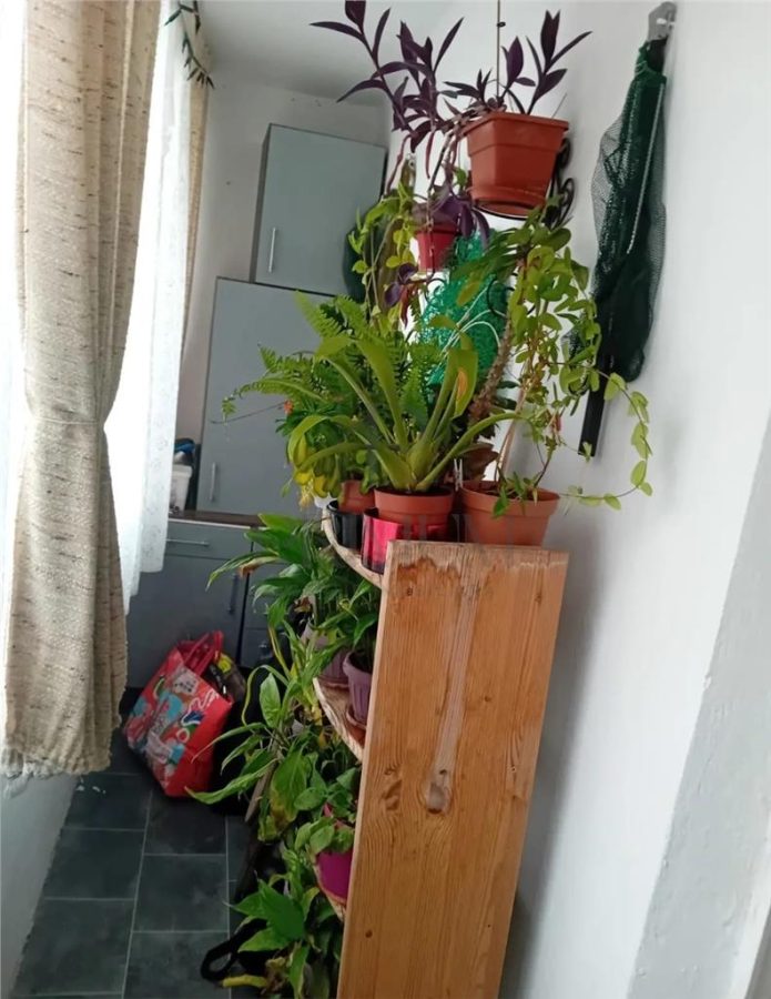 SPITALUL JUDETEAN - 3 CAM - 2 BALCOANE - CENTRALA/AC - ZONA EXCELENTA - foto 5