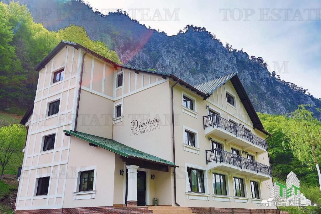 Pensiune 4* in Baile Herculane, investitie turism - foto 3