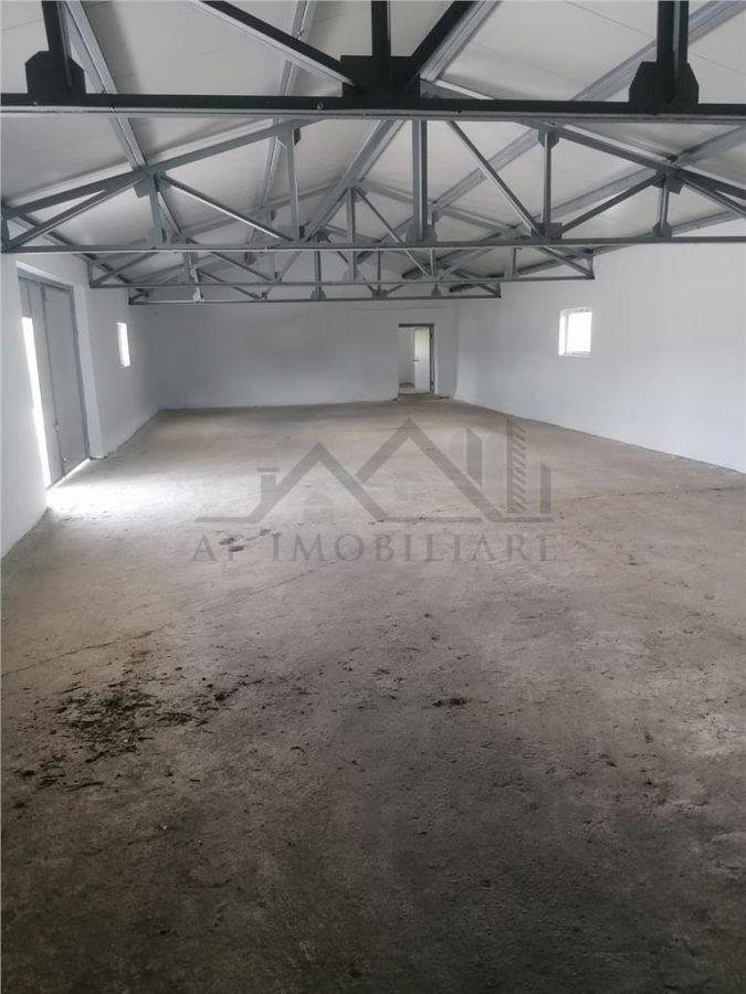 Hala 550mp zona Lunca Cetatuii - Dumbrava - 