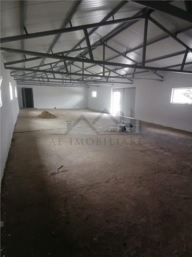 Hala 550mp zona Lunca Cetatuii - Dumbrava - foto 2