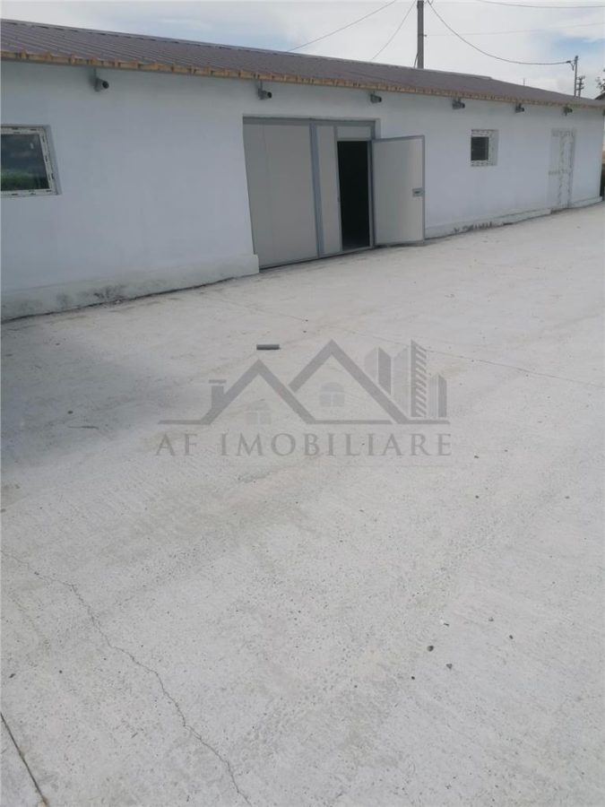 Hala 550mp zona Lunca Cetatuii - Dumbrava - foto 3