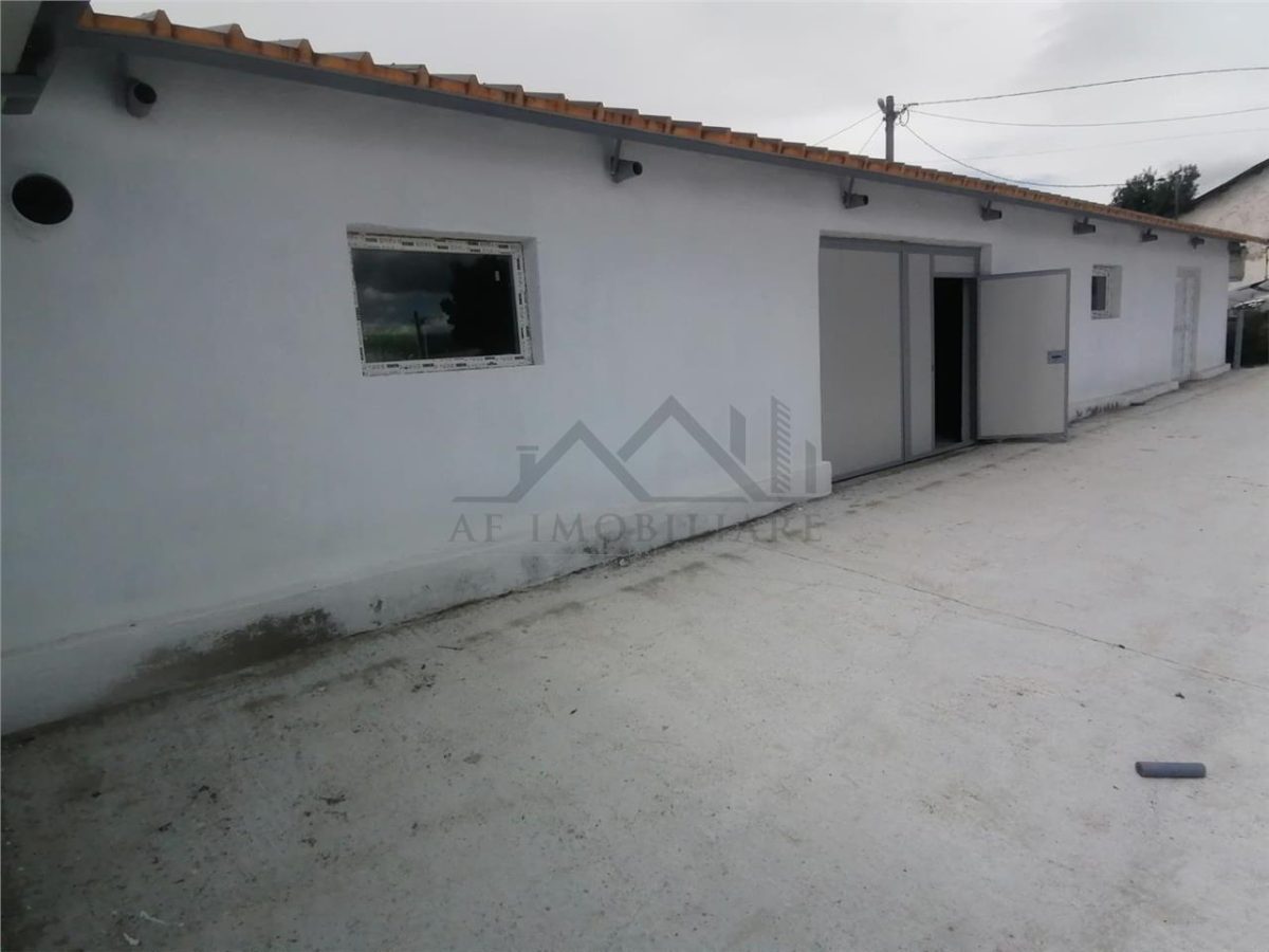 Hala 550mp zona Lunca Cetatuii - Dumbrava - foto 4