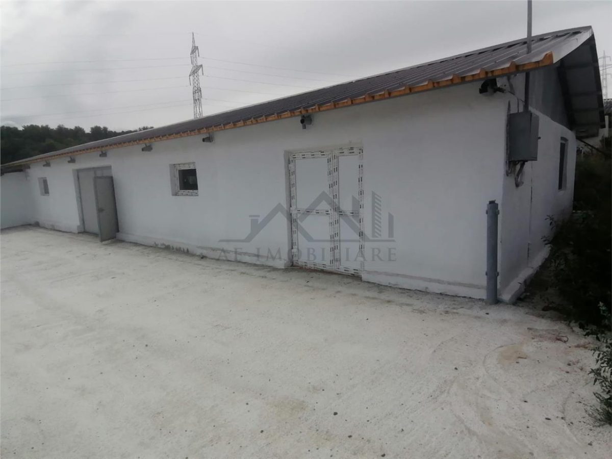 Hala 550mp zona Lunca Cetatuii - Dumbrava - foto 5