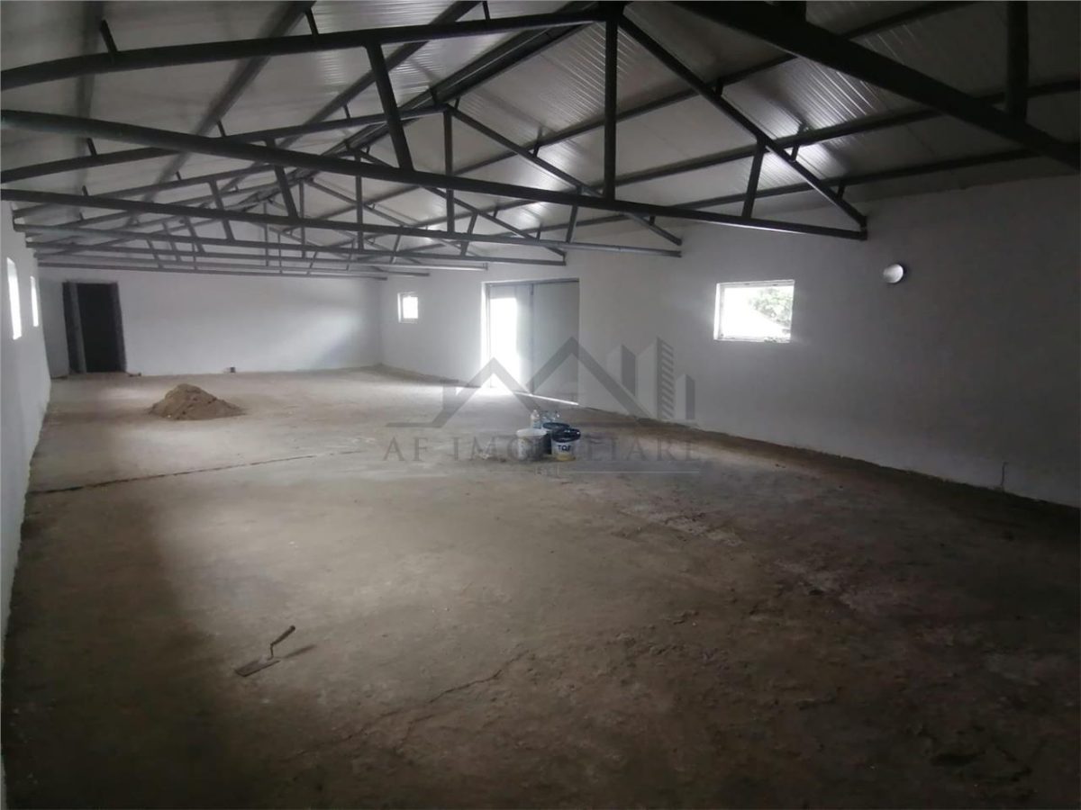 Hala 550mp zona Lunca Cetatuii - Dumbrava - foto 6