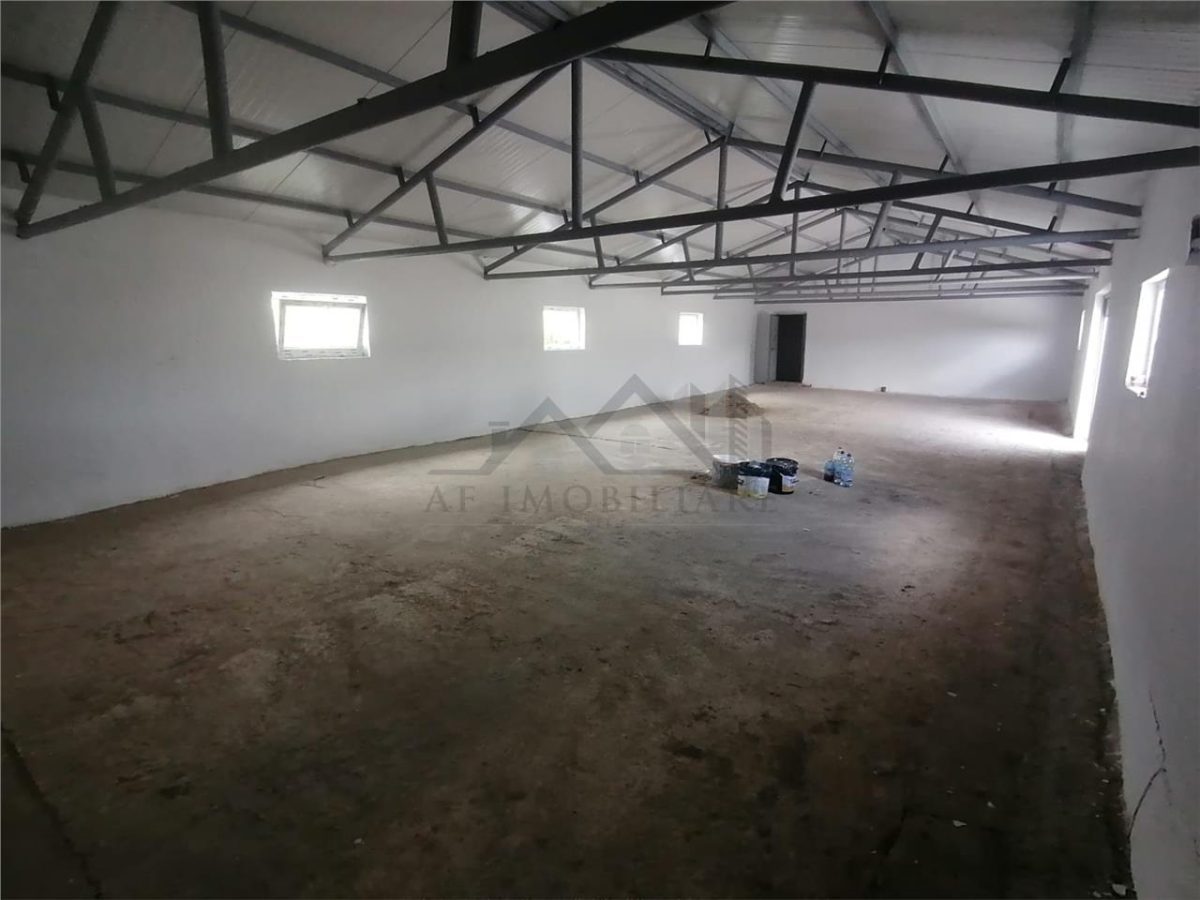 Hala 550mp zona Lunca Cetatuii - Dumbrava - foto 7