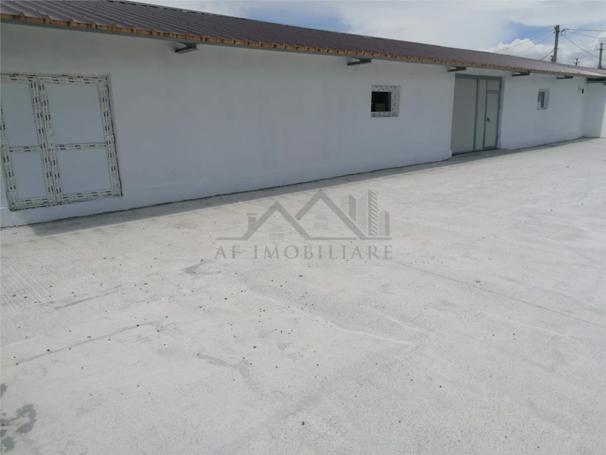 Hala 550mp zona Lunca Cetatuii - Dumbrava - foto 8