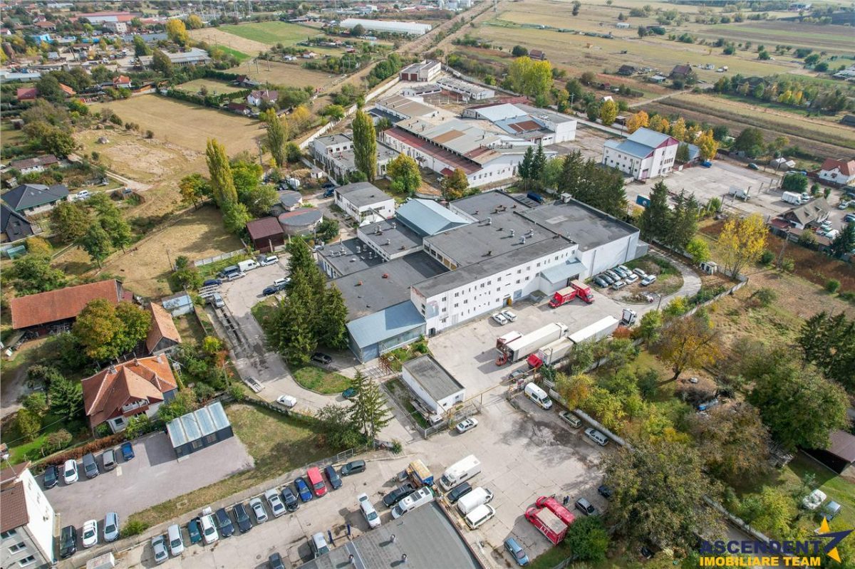 FILM! Ansamblu: Spatii comerciale, birouri, productie si similare, Sfantu Gheorghe, Covasna - foto 3