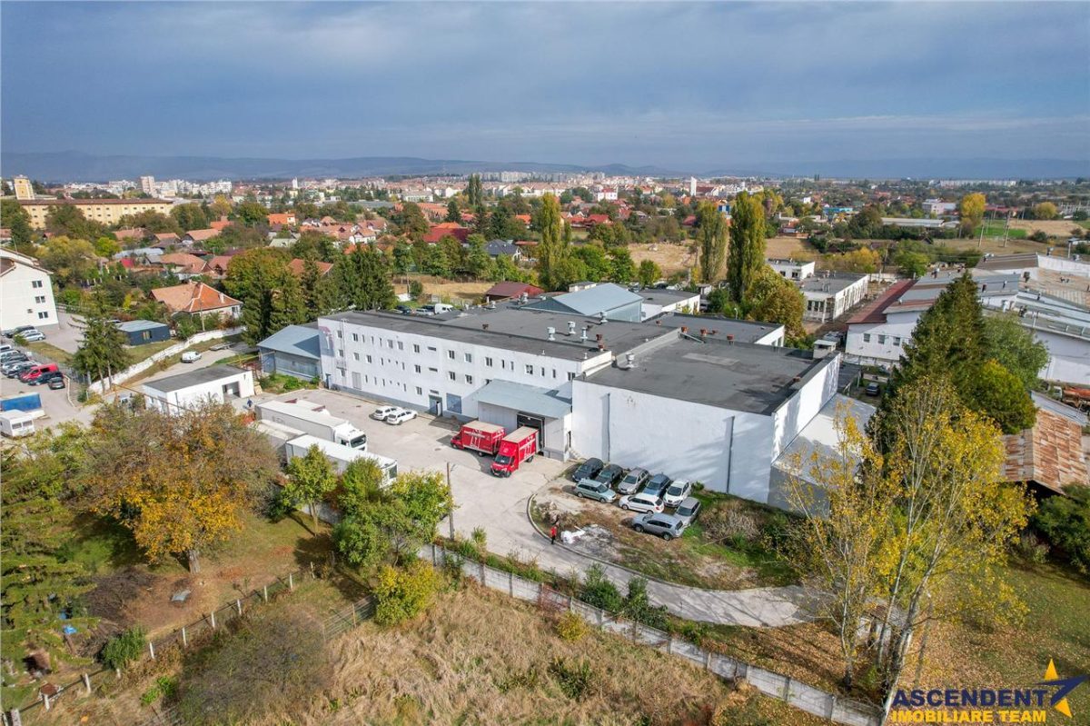 FILM! Ansamblu: Spatii comerciale, birouri, productie si similare, Sfantu Gheorghe, Covasna - foto 5