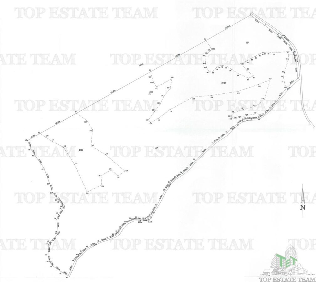 Casa de vanzare in Stanomiru  Judetul Valcea cu un teren in suprafata de 320000 mp - foto 5