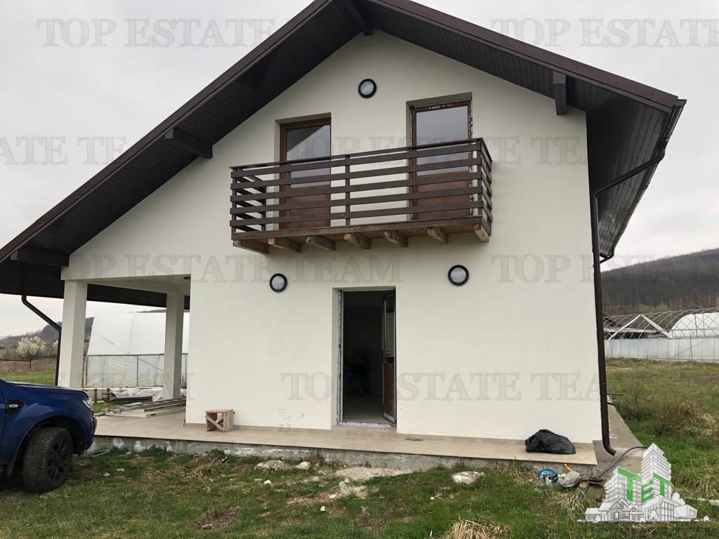 Casa de vanzare in Stanomiru  Judetul Valcea cu un teren in suprafata de 320000 mp - foto 10