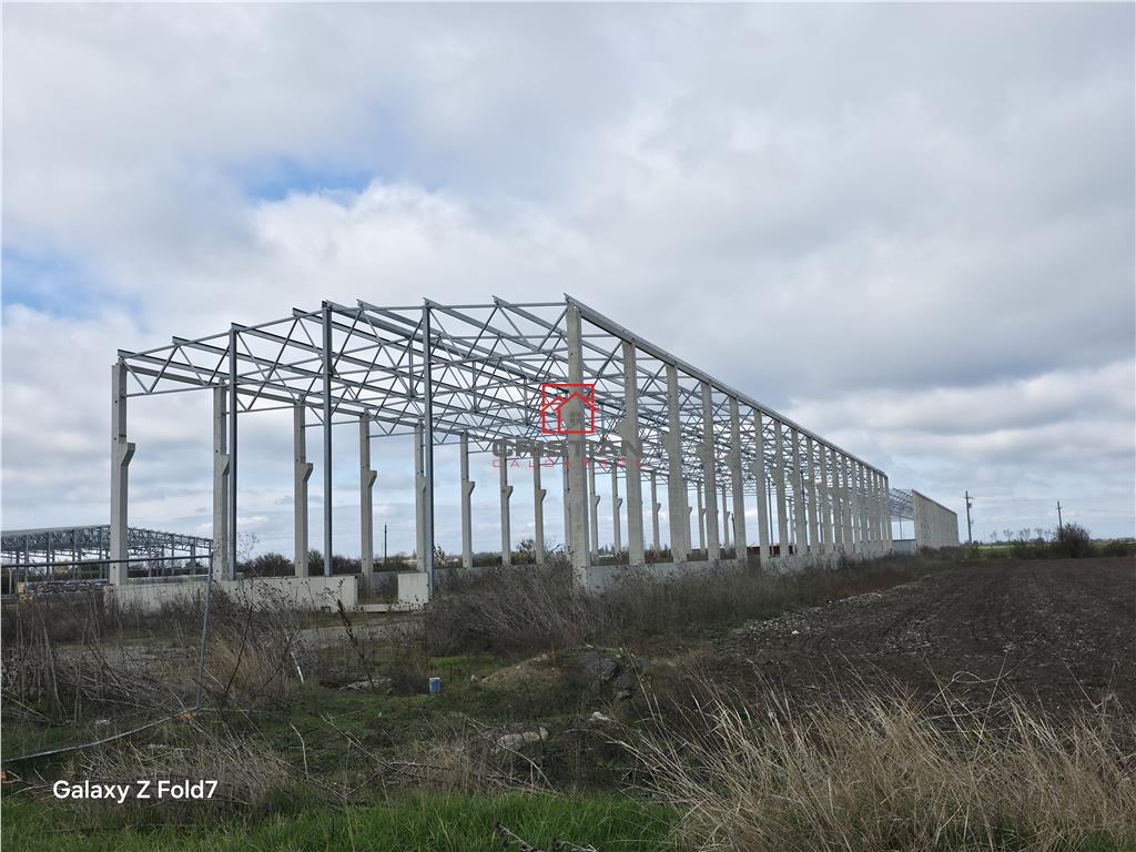Vanzare depozit/hala/spatiu industrial Mogosoaia - Buftea - foto 4