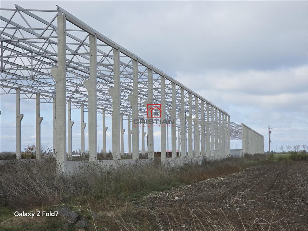 Inchiriere depozit/hala/spatiu industrial Mogosoaia - Buftea - 