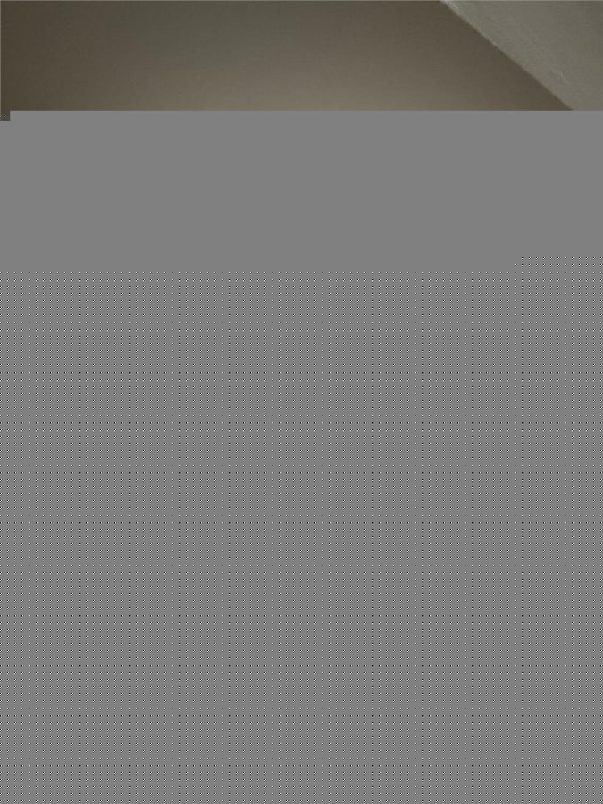 Oferta recomandata ! Centru Piata Unirii , 3 camere , etaj 1 - foto 3